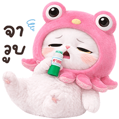 White Cat Pink Octopus