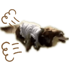 Asuka_20260415002521