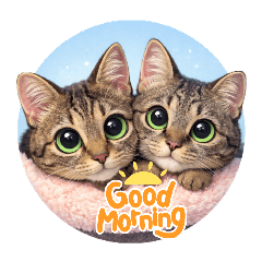 sweetmoon_20260418145228