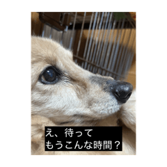 taruteee_20260418180234