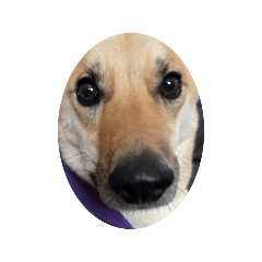 denden_20260418180520