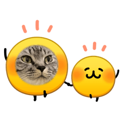 ellie_20260418162604