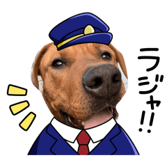 k_20260418162121