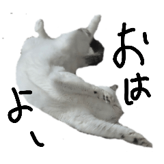 camel_20260418183330