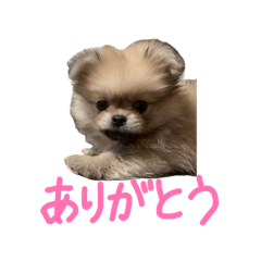 mugi_20260418125609