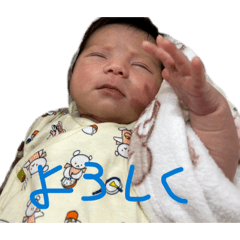 Ayame_20260418150850