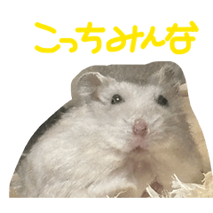 butasan_20260418202027