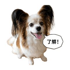 o.tetsu_20260418210659