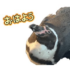 K_20260418155934