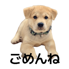 kojiro_20260418160700