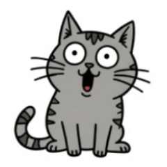 Cute The Clumsy Cat!