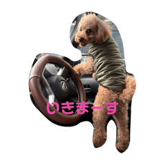 Serina_20260418142844