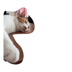 akari_20260418142602