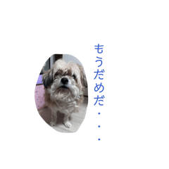 Keigo_20260418143346