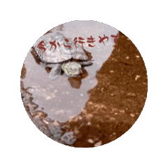 Kana_20260418150954
