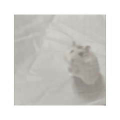 butasan_20260418195900