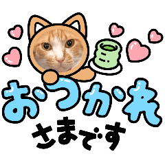 marumarurun_20260418154548