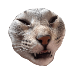 simag_20260418165123