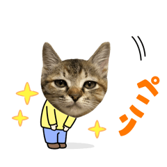 BUNBUN_20260418200911