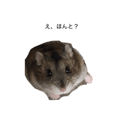 0204_20260418201426
