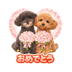 hachi_20260419054903