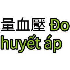 看護指南：長輩照護指令台灣雇主對越南看護