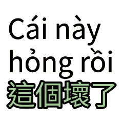 互動與需求：保母表達 越南看護對台灣雇主