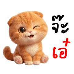Scottish fold orange cat - folded ears