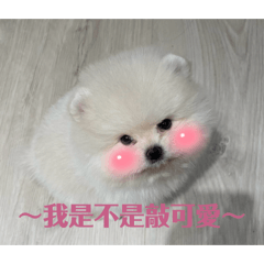 参陸の內心小劇場