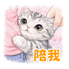 小Q-日常3