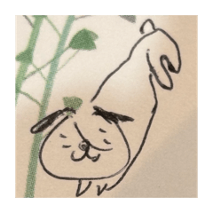 kaigara_20260418220512