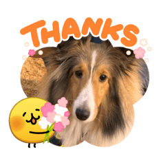 Taiyaki122_20260418221217