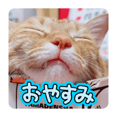 manamin_20260418174735