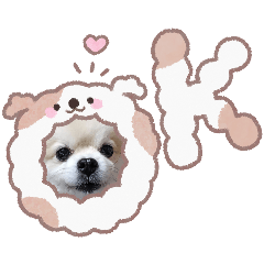 irodori_20260418174416