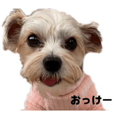 Yuririn_20260418175452