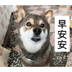 阿燁家可愛樂樂