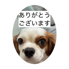 yuki_2013053120260418