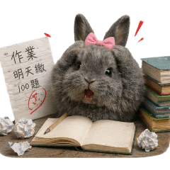 丟丟上課囉