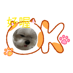 球球可愛小表情貼圖