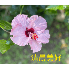 Mandy_20260419120712