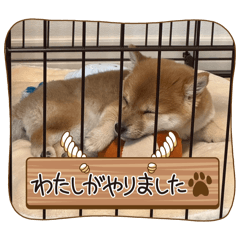 mugi_20260418222713