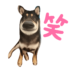 Korean_20260419081621