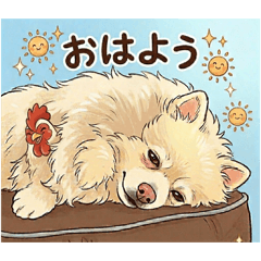 Rusk_Pomeranian