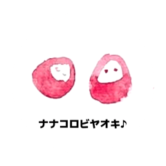 Kashu_20260419123446