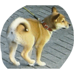 mu&kapu_20260419082353