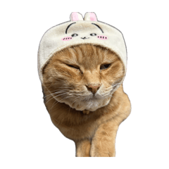 NANAMI_20260419124314