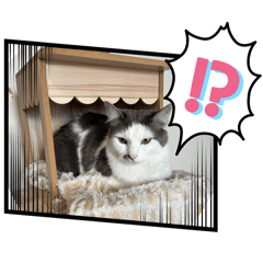 izumi.s_20260419124344