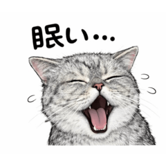 caramelmalllow29_20260419124714