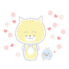Odeco cat