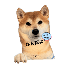 Souta_20260418223621